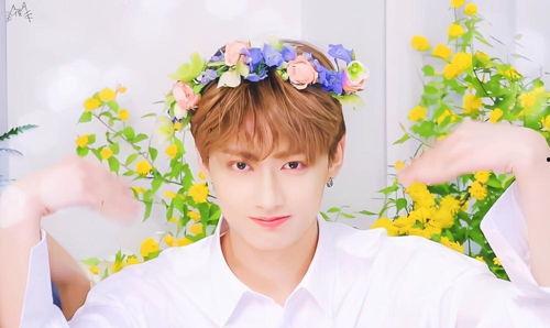 文俊辉最新爆料,幕后故事与心路历程 第1张 文俊辉最新爆料,幕后故事与心路历程 第1张